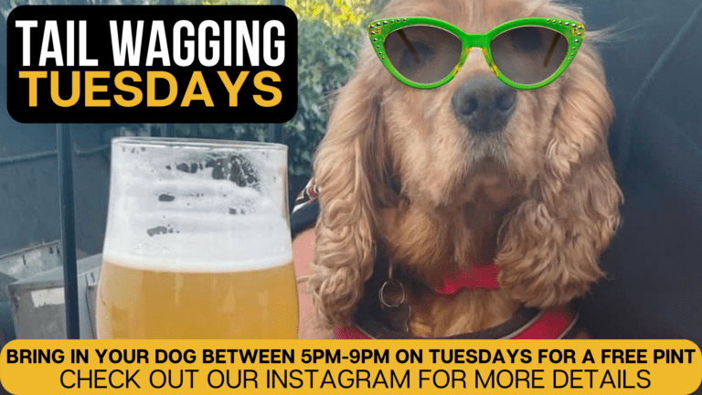 dog friendly pubs cheltenham